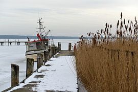 Frozen boat in the Baltic Sea by Alphapics
