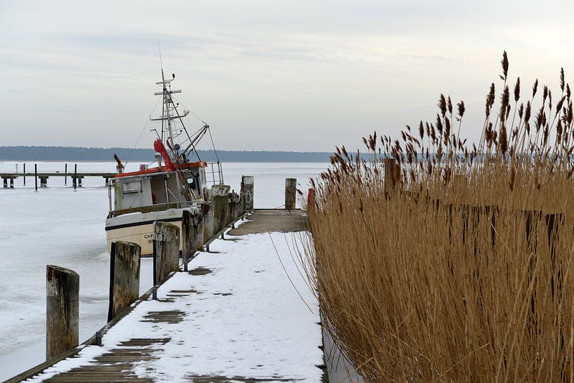 Boot in der vereisten Ostsee von Alphapics