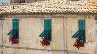 Vrolijke luiken voor de ramen in Monteriggione