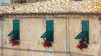 Bright green shutters on windows.