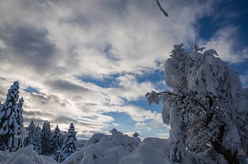 Winterlandschaft mit Himmelswolken im Winter