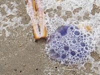 Kwal en 'scheermes' op het strand bij de Noordzee