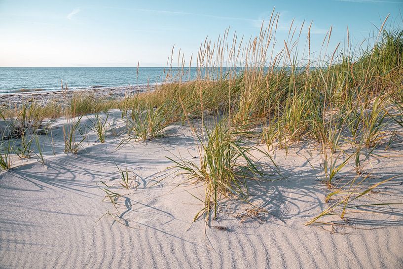 Eastern Shore by Steffen Gierok