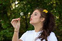 dandelion