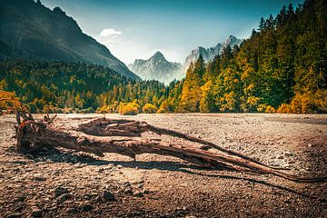 Der Weg in die Berge von Robby's fotografie