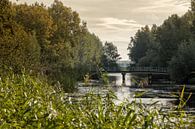 Herbst De Elzen Dordrecht von Rob van der Teen Miniaturansicht