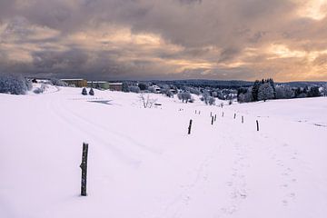 Landschaft im Winter im Thüringer Wald von Rico Ködder