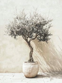 Minimalistische olijfboom in pot