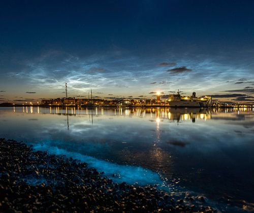 Zeevonk met lichtende nachtwolken