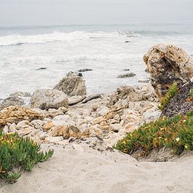 Coastal Landscape in Malibu by Patrycja Polechonska