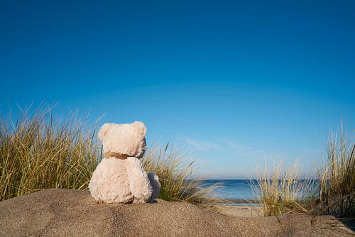 verdrietige teddybeer met reislust op het strand van Warnemünde