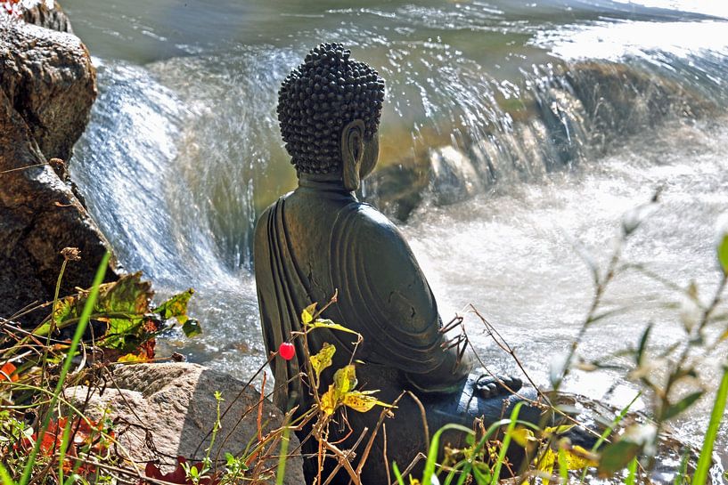 Buddha am Fluss 2.0 von Ingo Laue