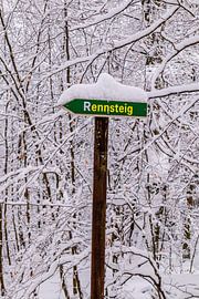 Cross-country skiing in the snowy Thuringian Forest near Floh-Seligenthal - Thuringia - Germany by Oliver Hlavaty