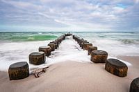 Groynes on shore of the Baltic Sea