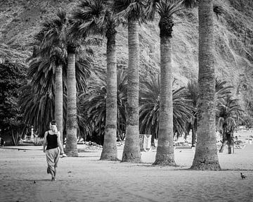 Le long des palmiers sur Emil Golshani