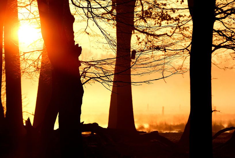 Mystische Momente by Lars Tuchel