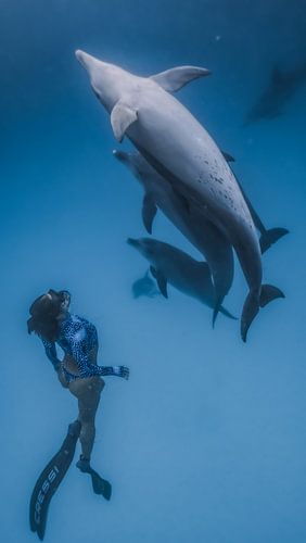 Begegnung in der Tiefe