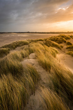 Zwinduinen