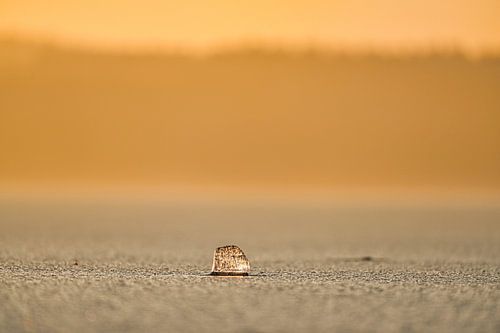 Eis auf See