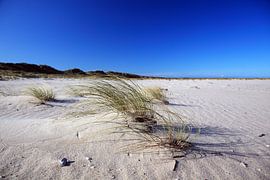 Am Strand auf Sylt von Frank Herrmann