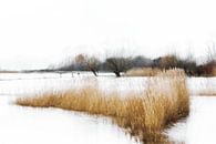 Herfst van Ingrid Van Damme fotografie thumbnail