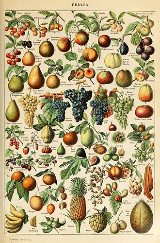 Posters van verschillende soorten fruit