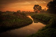 Zonsopgang boven de Heulebeek in Bergelen von Fotografie Krist / Top Foto Vlaanderen Miniaturansicht