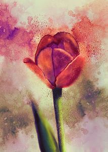 Vintage Tulip