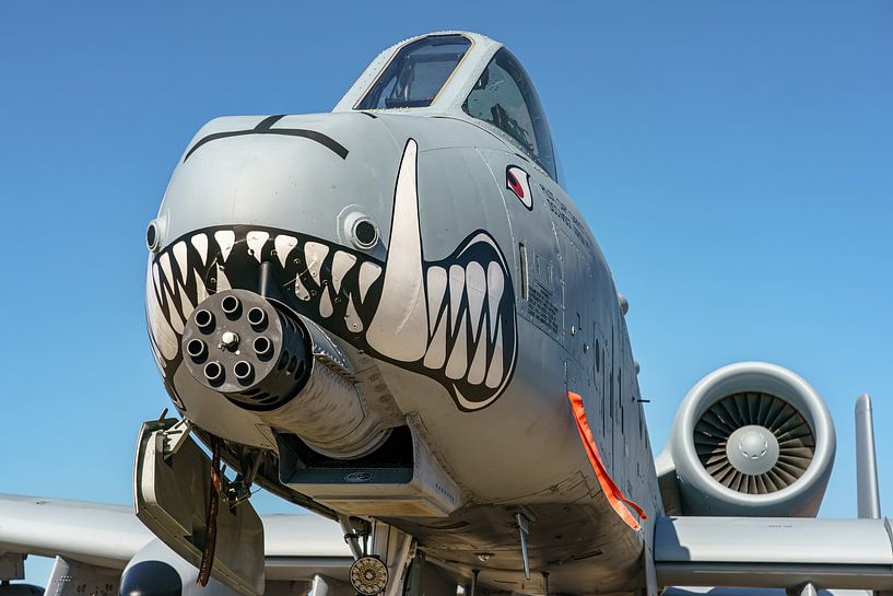 Fairchild Republic A-10 Thunderbolt II. par Jaap van den Berg