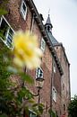 Amersfoort, Muurhuizen van Ester Overmars thumbnail