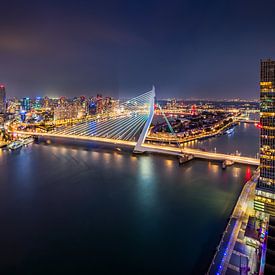 Blick auf die Erasmusbrücke von Ellen van den Doel