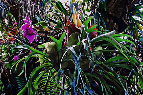 Staghornvaren en orchideeën Fantasietuin