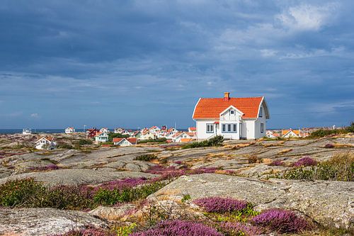 Maisons sur l'île de Käringön en Suède