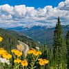 Uitzicht over bergpas in Colorado van Louise Poortvliet