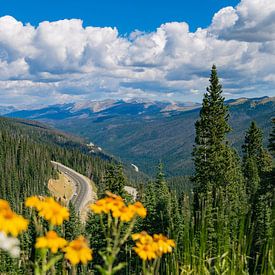 Uitzicht over bergpas in Colorado van Louise Poortvliet