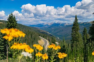 Uitzicht over bergpas in Colorado van Louise Poortvliet