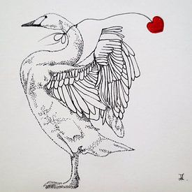 HeartFlow Swan