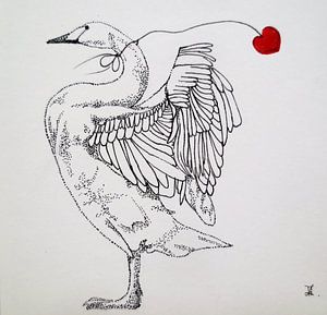HeartFlow Zwaan