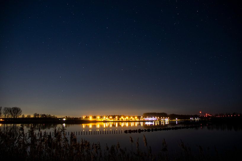 The Bright Night by Kijk eens naar het vogeltje