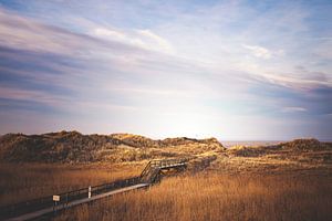 Die Dünen bei Sankt Peter-Ording
