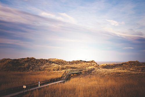 The dunes near St. Peter-Ording