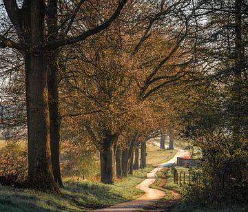 Landweggetje bij Stokkum. van René Jonkhout