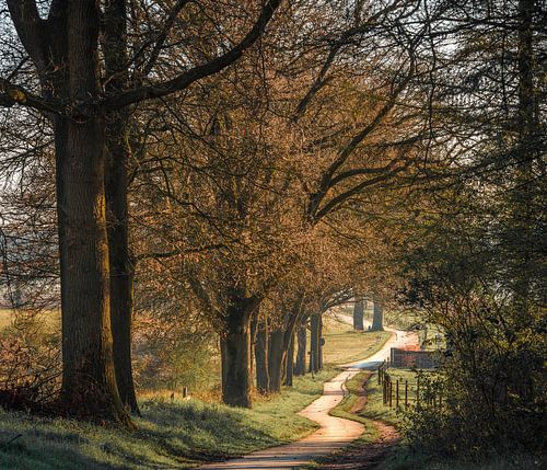 Landweggetje bij Stokkum.