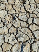 Gebarsten aarde in Camargue