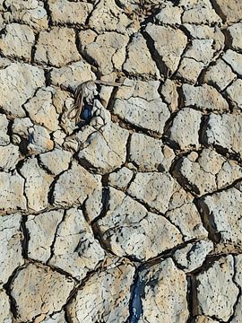 Gebarsten aarde in Camargue van Sergio Pazzano