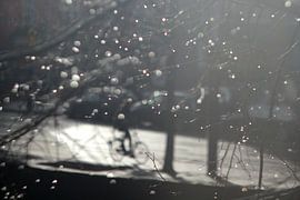 Winter fietsers van Marianna Pobedimova