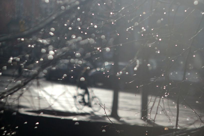 Winterradfahrer von Marianna Pobedimova