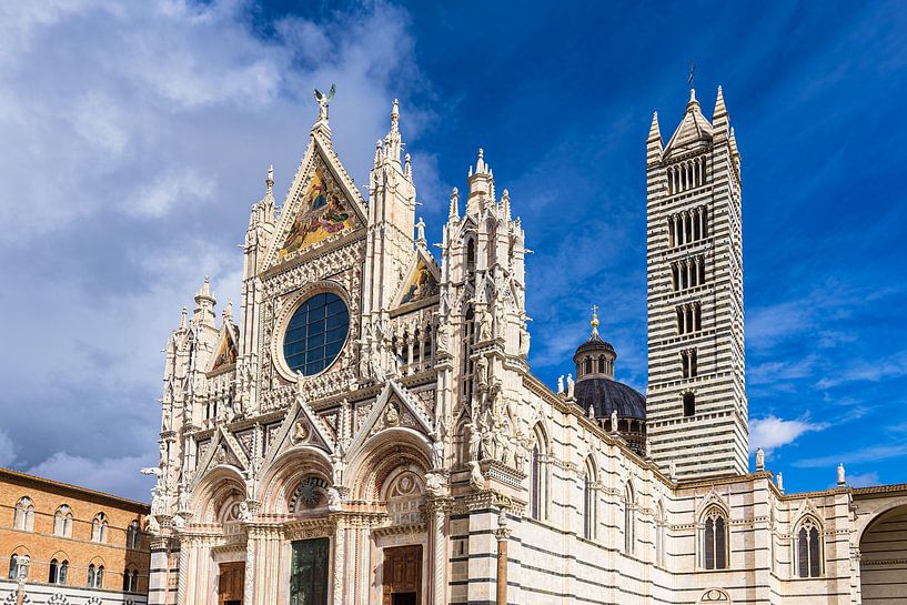 View of the Cathedral Metropolitana di Santa Maria Assunta in by Rico Ködder