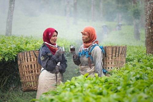 Eine Pause in den Teefeldern von Wonosobo