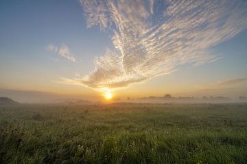 Rêver de la nature sur Dirk van Egmond